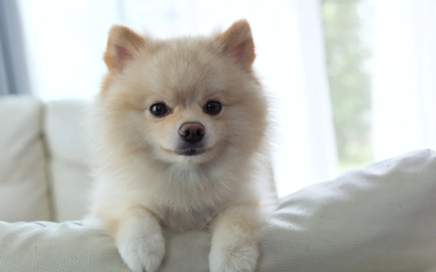 ProgExpert Ocelot – Espace de vente ProgExpert Ocelot – Espace de vente